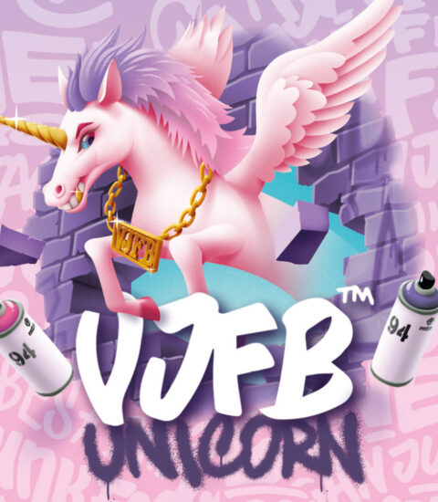 VJFB highlight website