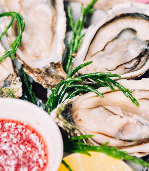 Zilte zondag liggend