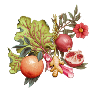 Artwork los Website Bright Blast sour