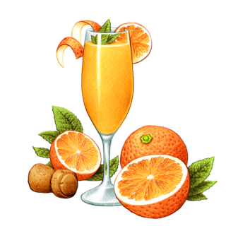 Mimosa Sour websiteartwork