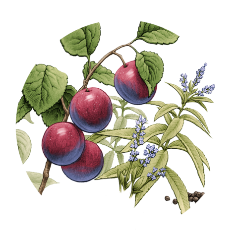 Achtergrond Site Heavenly Plummet