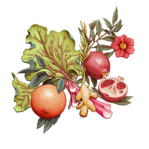 Artwork los Website Bright Blast sour