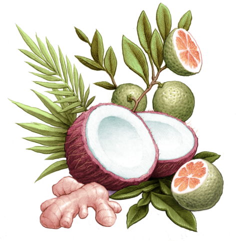 ISLAND FEVER Zachtergrond