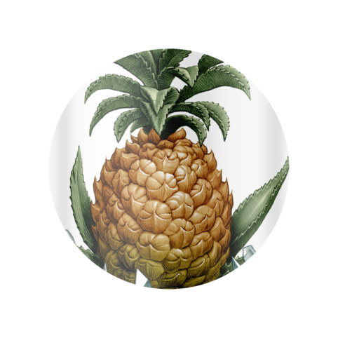 Pineappleparty 01