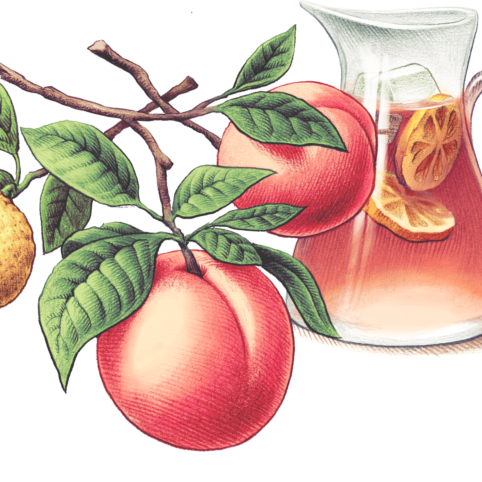 Steep Dreams website artworks